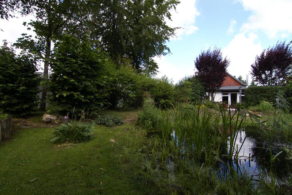 Ferienhaus Wildblick Schleiden Dış mekan fotoğraf